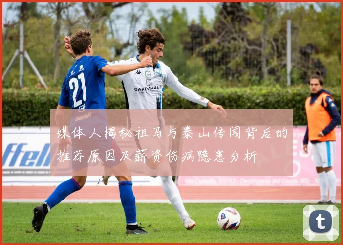 媒体人揭秘祖马与泰山传闻背后的推荐原因及薪资伤病隐患分析