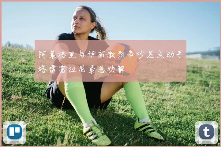 阿莱格里与伊布激烈争吵差点动手塔雷富拉尼紧急劝解